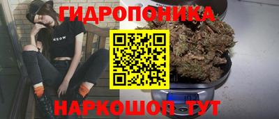 Альфа ПВП Лесосибирск