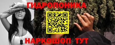 стафф Ликино-Дулёво